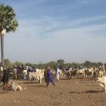 www.senegalkrankenhaus.de_reisebericht_senegal_werner_oertel (3)